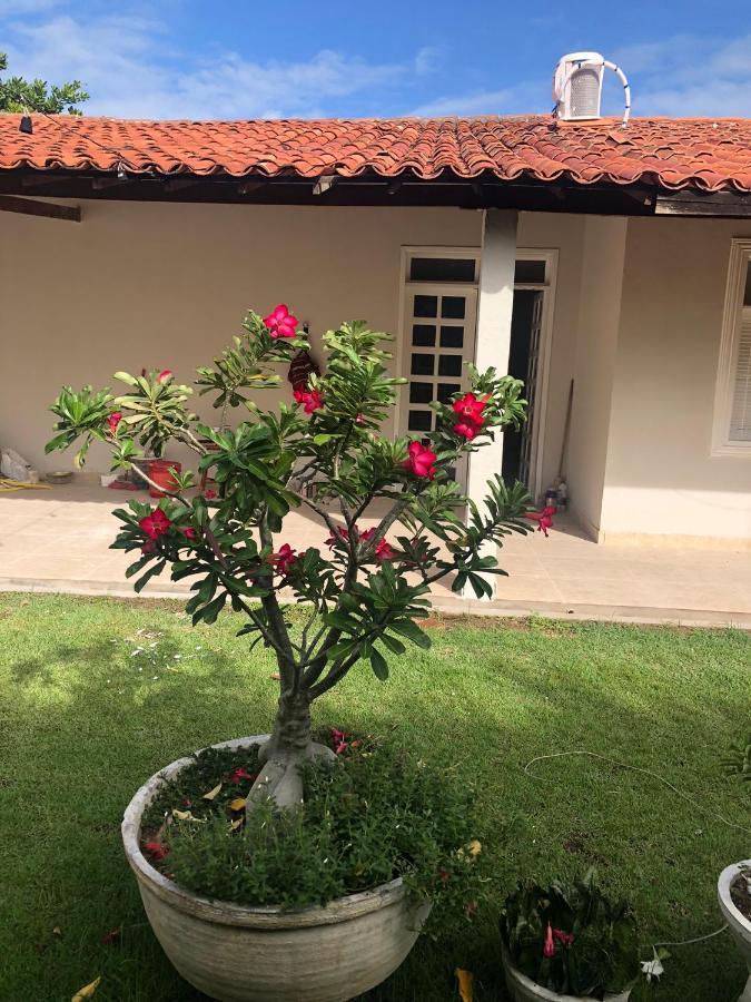 Caroa Piranhas Suites Екстериор снимка